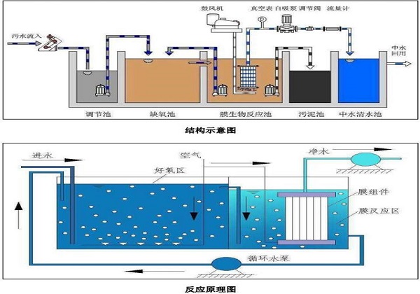 农村生活污水处理.jpeg